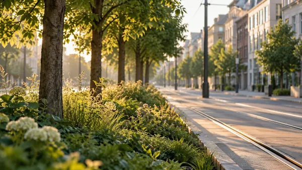 Ein schmaler Grünstreifen mit Bäumen liegt entlang einer Straße im frühen Morgenlicht.